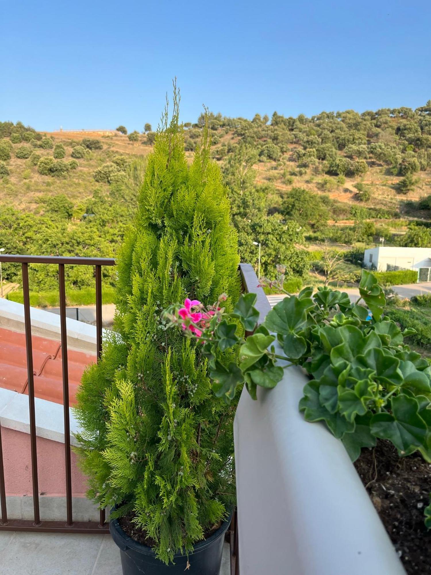 Apartamentos La Flor San Martin de Moncayo Luaran gambar